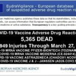 5 tyś 365 MARTWYCH 238 tyś 949 urazów: Europejska baza danych o niepożądanych reakcjach na " Szczepionki" COVID-19 EudraVigilance-report-3.27