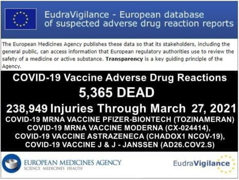 5 tyś 365 MARTWYCH 238 tyś 949 urazów: Europejska baza danych o niepożądanych reakcjach na " Szczepionki" COVID-19 179 EudraVigilance report 3.27 - przez Brian Shilhavy  Editor, Health News Impact